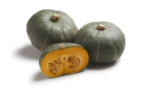 zucca2